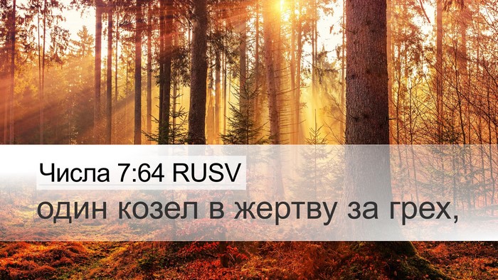 Числа 7:64 RUSV Desktop Wallpaper - один козел в жертву за - Desktop Bible Verse Wallpaper