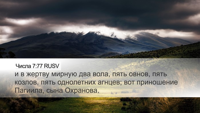 Числа 7:77 RUSV Desktop Wallpaper - и в жертву мирную два вола, - Desktop Bible Verse Wallpaper