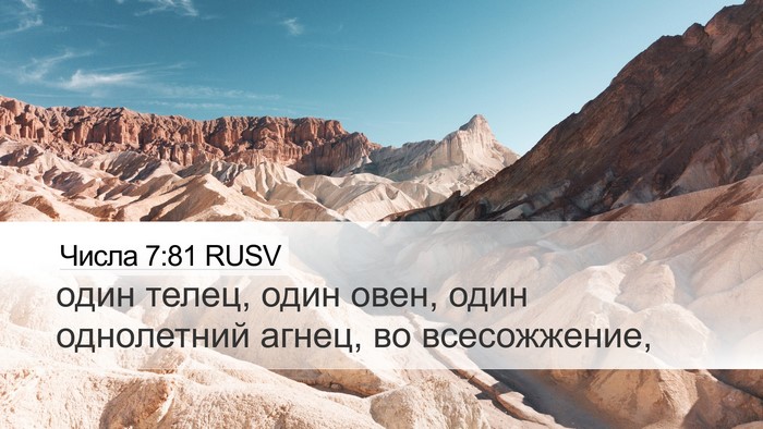 Числа 7:81 RUSV Desktop Wallpaper - один телец, один овен, один - Desktop Bible Verse Wallpaper