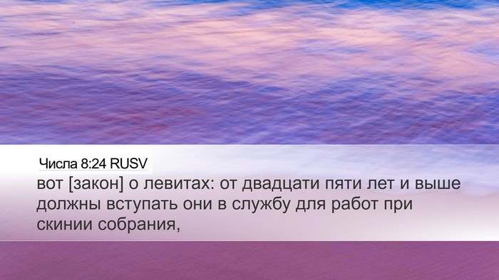 Числа 8:24 RUSV Bible Verse Image