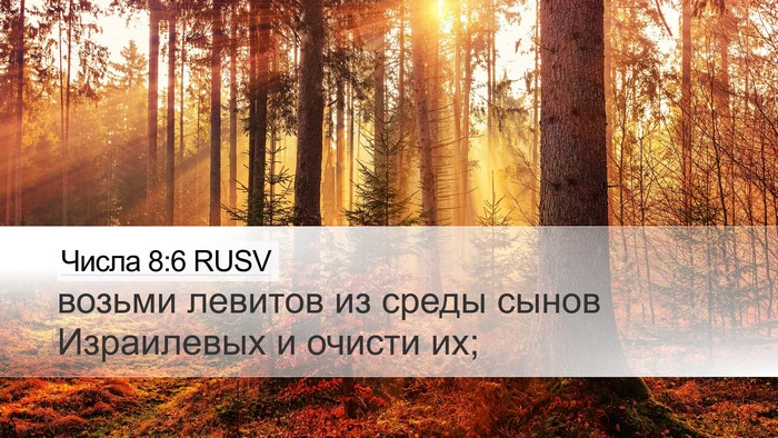 Числа 8:6 RUSV Bible Verse Image