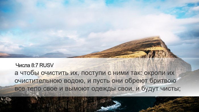 Числа 8:7 RUSV Desktop Wallpaper - а чтобы очистить их, - Desktop Bible Verse Wallpaper