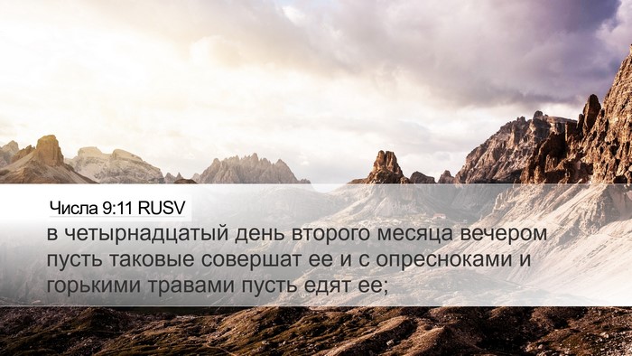 Числа 9:11 RUSV Desktop Wallpaper - в четырнадцатый день - Desktop Bible Verse Wallpaper