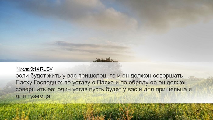 Числа 9:14 RUSV Bible Verse Image