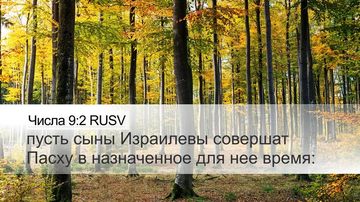 Числа 9:2 RUSV Bible Verse Image