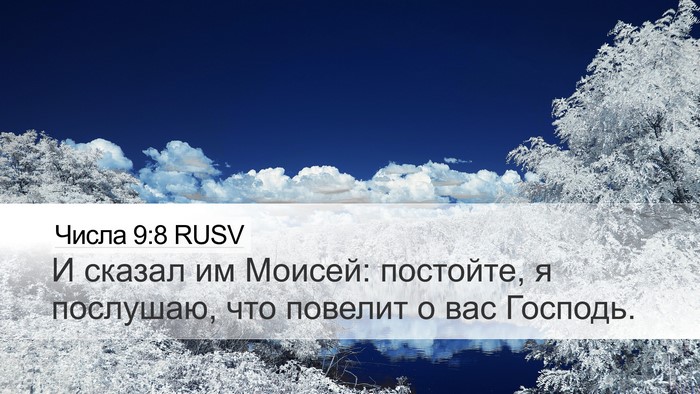 Числа 9:8 RUSV Bible Verse Image