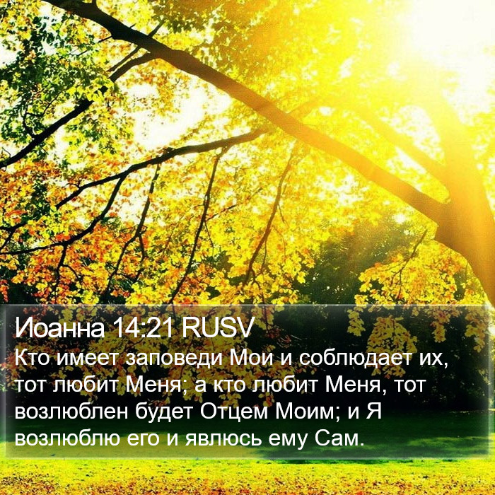 Иоанна 14:21 RUSV - Кто имеет заповеди Мои и