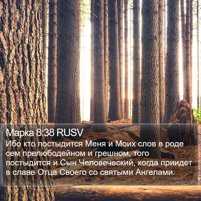 Марка 8:38 RUSV - Ибо кто постыдится Меня и