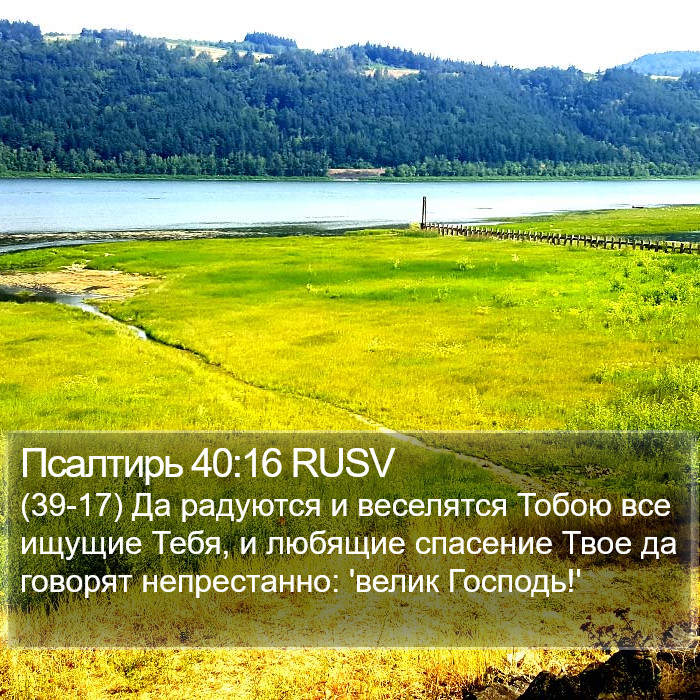 Псалтирь 40:16 RUSV - (39-17) Да радуются и