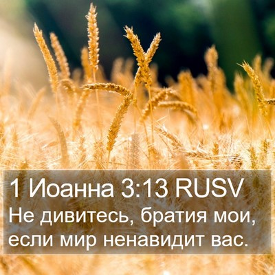 1 Иоанна 3:13 RUSV Bible Verse Image