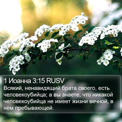 1 Иоанна 3:15 RUSV Bible Verse Image