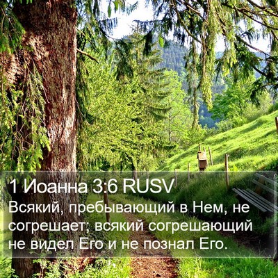 1 Иоанна 3:6 RUSV Bible Verse Image