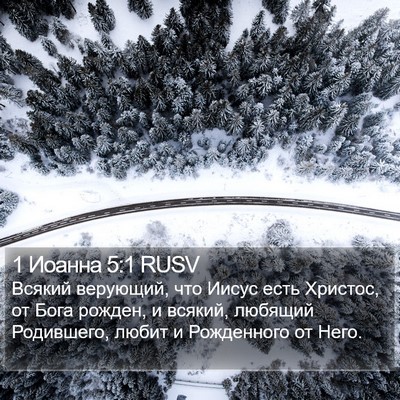 1 Иоанна 5:1 RUSV Bible Verse Image