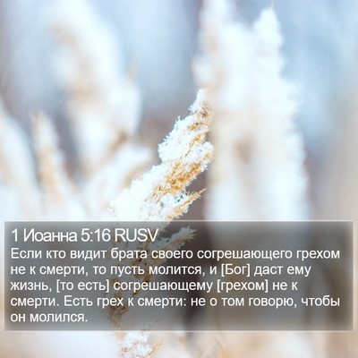 1 Иоанна 5:16 RUSV Bible Verse Image