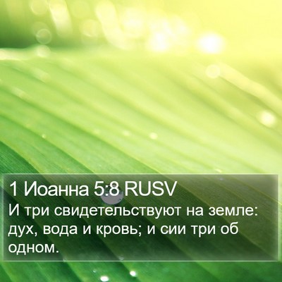 1 Иоанна 5:8 RUSV Bible Verse Image