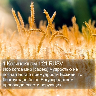 1 Коринфянам 1:21 RUSV Bible Verse Image