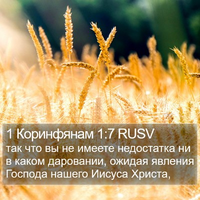 1 Коринфянам 1:7 RUSV Bible Verse Image