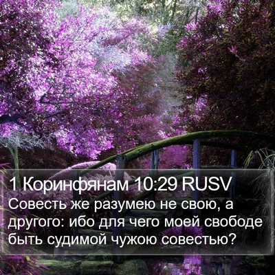 1 Коринфянам 10:29 RUSV Bible Verse Image