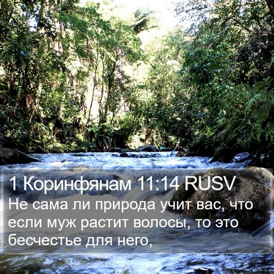 1 Коринфянам 11:14 RUSV Bible Verse Image