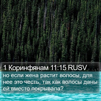 1 Коринфянам 11:15 RUSV Bible Verse Image