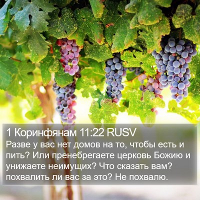 1 Коринфянам 11:22 RUSV Bible Verse Image