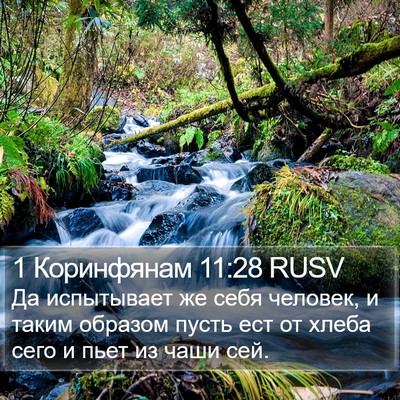 1 Коринфянам 11:28 RUSV Bible Verse Image