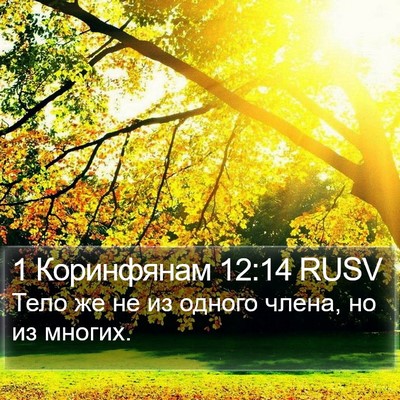 1 Коринфянам 12:14 RUSV Bible Verse Image