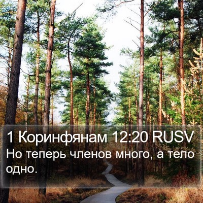 1 Коринфянам 12:20 RUSV Bible Verse Image