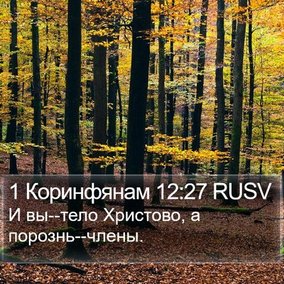 1 Коринфянам 12:27 RUSV Bible Verse Image