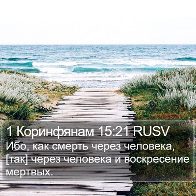 1 Коринфянам 15:21 RUSV Bible Verse Image