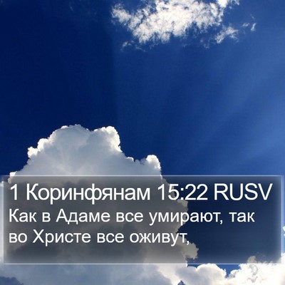 1 Коринфянам 15:22 RUSV Bible Verse Image