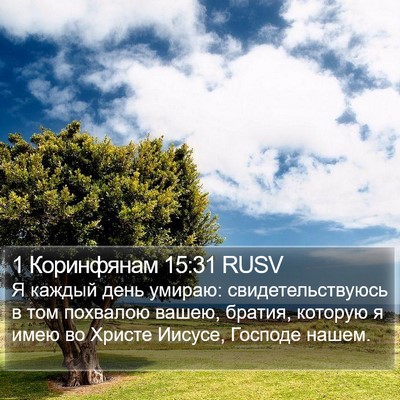 1 Коринфянам 15:31 RUSV Bible Verse Image