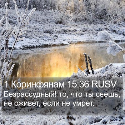 1 Коринфянам 15:36 RUSV Bible Verse Image