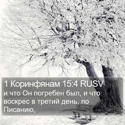 1 Коринфянам 15:4 RUSV Bible Verse Image