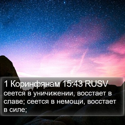1 Коринфянам 15:43 RUSV Bible Verse Image