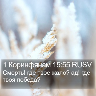 1 Коринфянам 15:55 RUSV Bible Verse Image