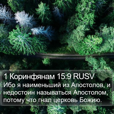 1 Коринфянам 15:9 RUSV Bible Verse Image