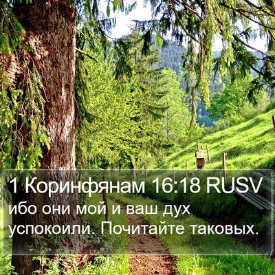1 Коринфянам 16:18 RUSV Bible Verse Image