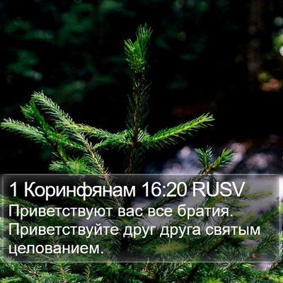 1 Коринфянам 16:20 RUSV Bible Verse Image