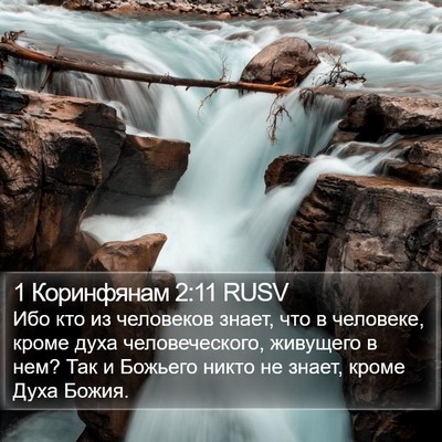 1 Коринфянам 2:11 RUSV Bible Verse Image