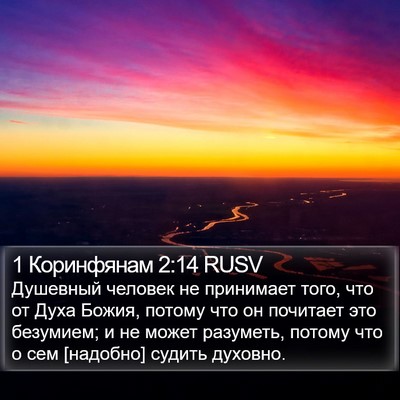 1 Коринфянам 2:14 RUSV Bible Verse Image
