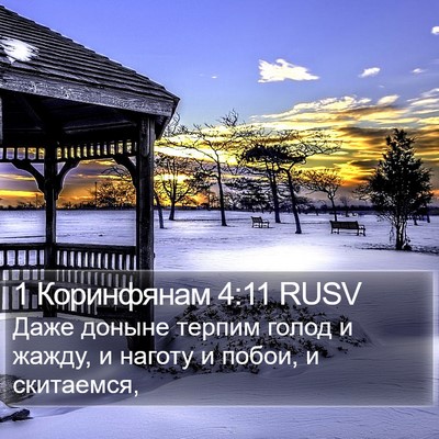 1 Коринфянам 4:11 RUSV Bible Verse Image