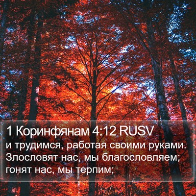 1 Коринфянам 4:12 RUSV Bible Verse Image