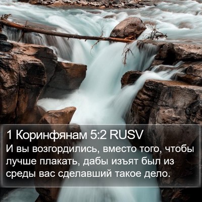 1 Коринфянам 5:2 RUSV Bible Verse Image