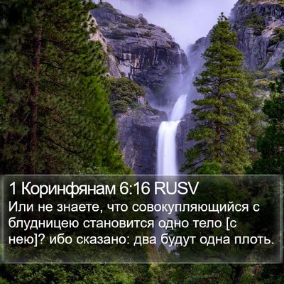 1 Коринфянам 6:16 RUSV Bible Verse Image