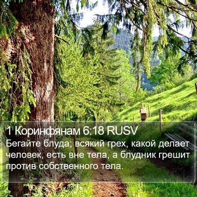 1 Коринфянам 6:18 RUSV Bible Verse Image