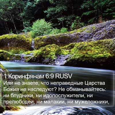 1 Коринфянам 6:9 RUSV Bible Verse Image