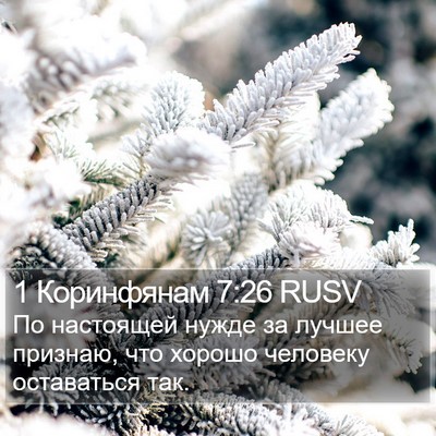 1 Коринфянам 7:26 RUSV Bible Verse Image