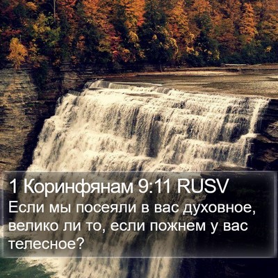 1 Коринфянам 9:11 RUSV Bible Verse Image