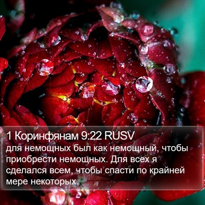 1 Коринфянам 9:22 RUSV Bible Verse Image